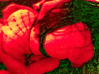 sweet latina begs for big cock halloween homemade neighbor fuck