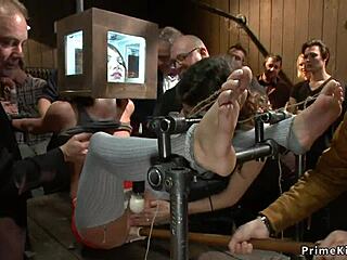 redhead blonde subs bound and banged public bdsm style