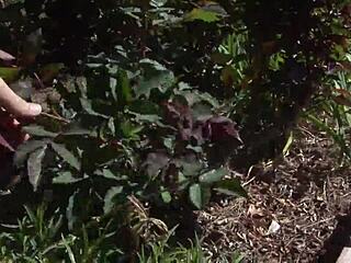 i feel tory lane's beautiful deepthroat cock suck