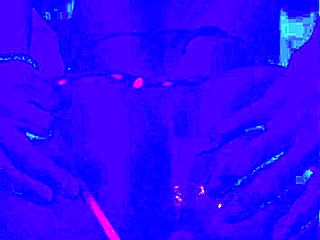 bleu room trans anal solo fingering and ass play