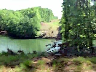 Clitlicker662's Hairy Forest Flash Update 37