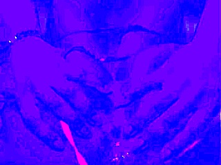 bleu room trans anal solo fingering and ass play