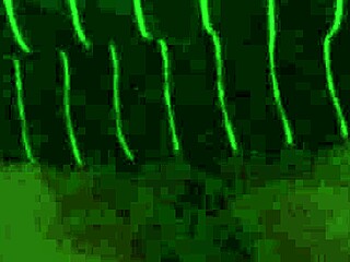 Boss Lady Punishes You with Facesitting Domination Humiliation Lesson