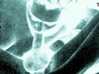 Teasing Vintage Erotic Drawings Spark Retro Fantasies