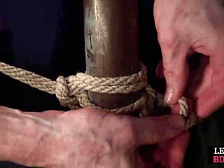 Bound Babe's Shaved Pussy Pounded Before She Sucks Cock