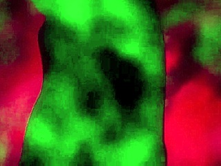 Perverted professor caught fucking anime pussy hard!