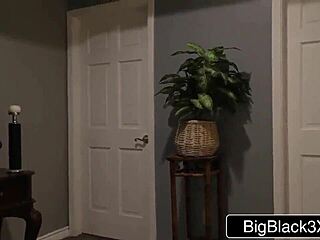 lana's tiny body shakes emotionally slammed by huge cock family watching