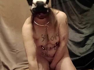 Esclave F Humiliated With Godage Anal And Souillure Spanking