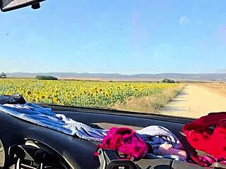 brazilian damiana safada flashes curvy tits ass public sunflower field europe ep6