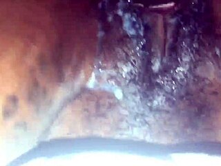 our 2019 xvideos anniversary celebration for fans