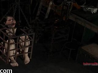 couple punishes bound slut with rough pov drawings