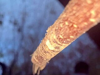 I banged this witch deep in the forest outdoors