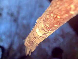 I banged this witch deep in the forest outdoors