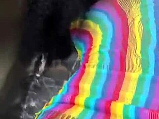 i finally fucked my hot latina landlord's wife bent over in the elevator squirting wet