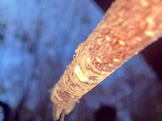 I banged this witch deep in the forest outdoors