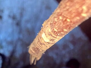 I banged this witch deep in the forest outdoors