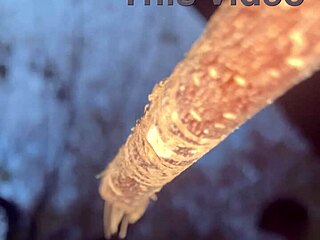 I banged this witch deep in the forest outdoors