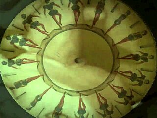 Vintage erotic hairy pussy display