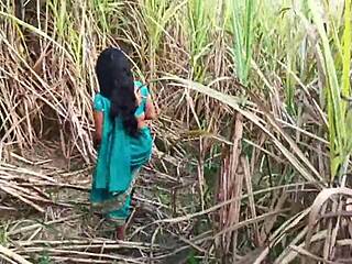 Sugarcane field outdoor hardcore sex with sexy narrow ass married girlfriend