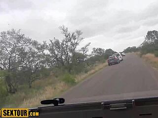 real african ebony teen pov public blowjob then outdoor fucking