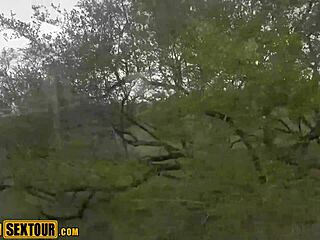 real african ebony teen pov public blowjob then outdoor fucking