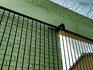 hey, ever wonder what happens in dominatrix mistress april's brutal cock clinic with her bound patient?