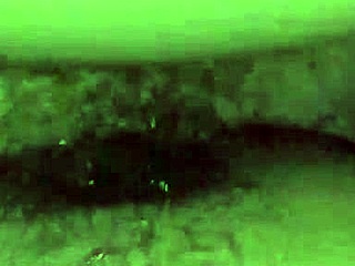 Pinay Creampie Doggy Temptation