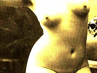 Vintage erotic art collection