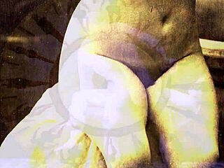 Vintage erotic art collection