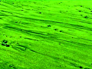 Silvia Soprano Roughly Slapped Spat Beach Kink