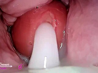 Wasteland creampie breeding in Fallout den