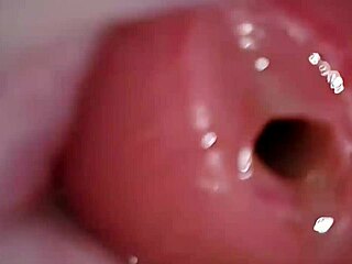 Wasteland creampie breeding in Fallout den