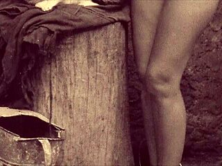 hear the victorian gentleman's erotic confessions from my secret life