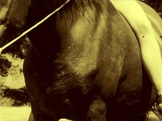 hear the victorian gentleman's erotic confessions from my secret life