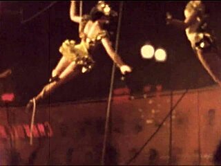 vintage erotic art shows hairy beavers in retro style