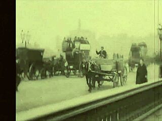 vintage erotic art shows hairy beavers in retro style