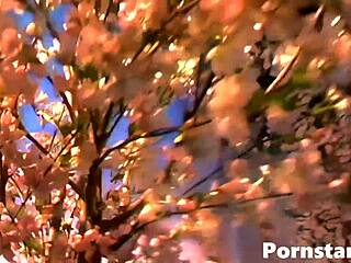 romantic forest sex night with bella maria wolf anal cumshot facial