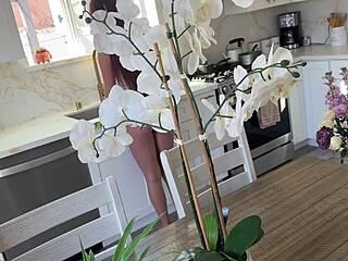 Petite Redhead Step Daughter Creampie Sex Tape Household Fantasy Stella Luxx Scott Stark