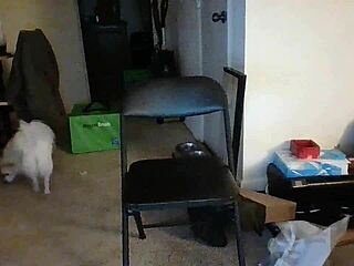 that slutty ex bitch from uni rides big black monster cock like a nasty fat whore teen.