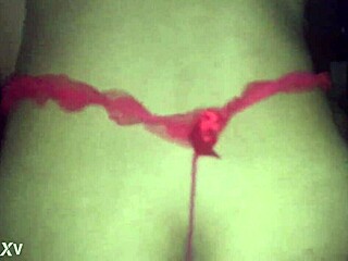 safada from interlagos takes it deep in her ass