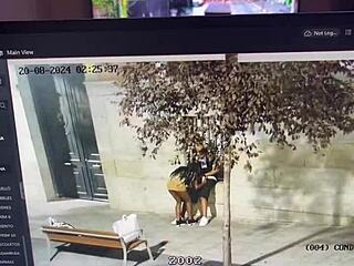 she sneaks public penis kisses outdoors for thrilling risky thrills