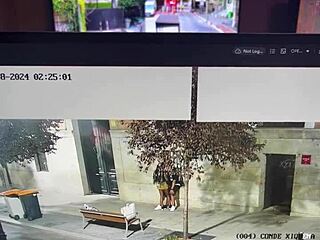she sneaks public penis kisses outdoors for thrilling risky thrills
