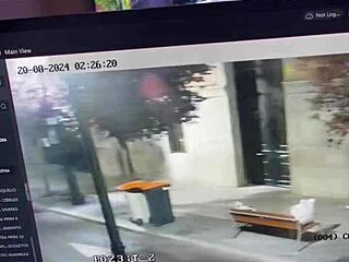 she sneaks public penis kisses outdoors for thrilling risky thrills