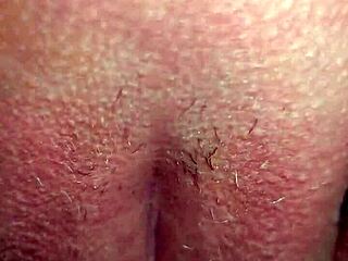Sabrinafoxy Colombiana Gets Anal Creampie from Neighbor