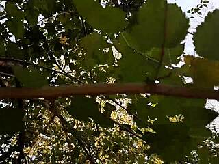 watching my girlfriends finger to outdoor forest orgasms unseen
