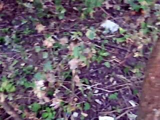 watching my girlfriends finger to outdoor forest orgasms unseen