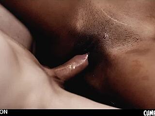 Barbie Reyes' Cum-Bloated Belly from Interracial Creampie Overload