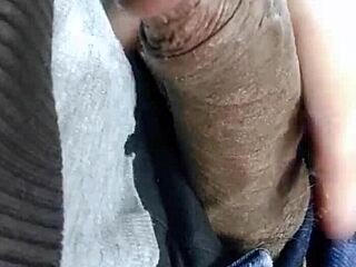 NRi CANADIAN COLLEGE GIRL RIDES BROTHER'S COCK IN CAR?