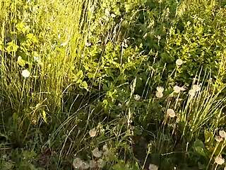 Hey i just pissed publicly then rubbed to orgasm outdoors!