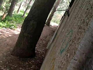 Hey babe, watch me suck this big cock in the park then take cumshot on my tits pov